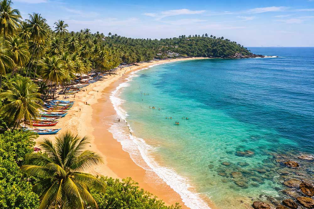 A Complete Guide to Mirissa: Sri Lanka’s Ultimate Beach Getaway