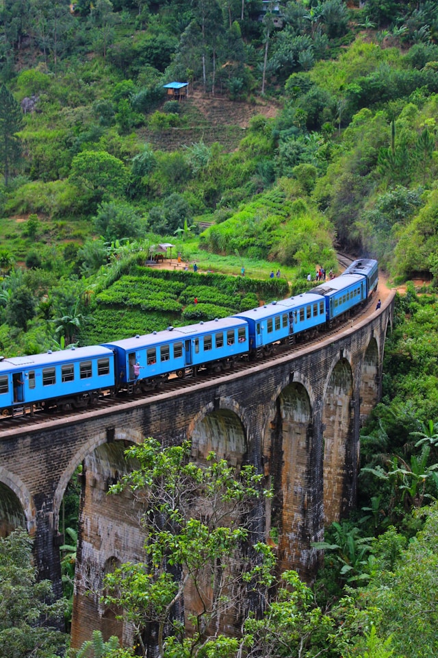 Misty Peaks & Jungle Trains: Discover the Magic of Ella, Sri Lanka
