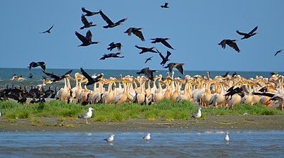 Image of Bundala National Park