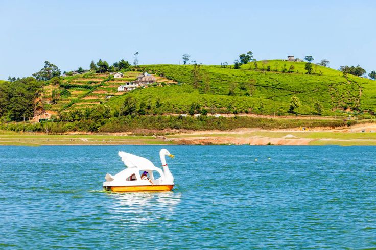 Image of Gregory Lake
