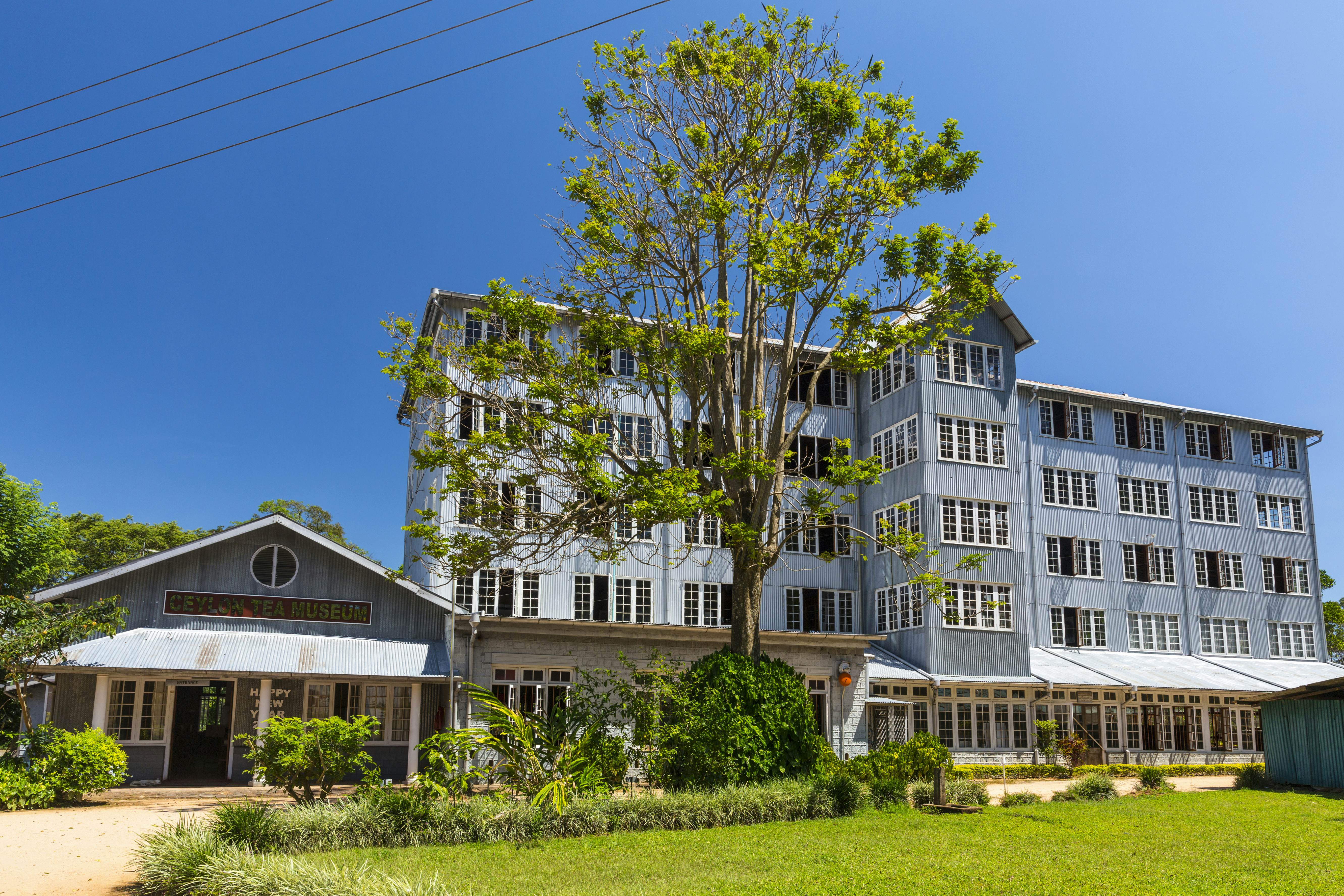 Image of Ceylon Tea Museum & Hantana Tea Factory