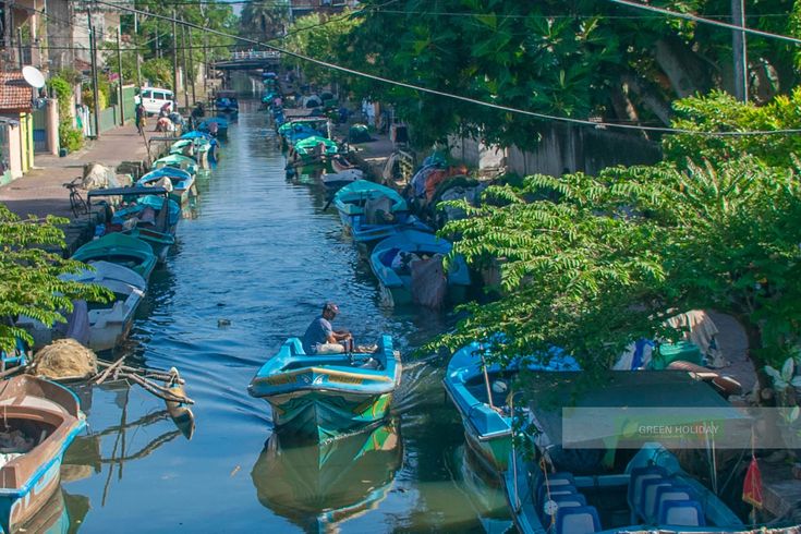 Image of Negombo