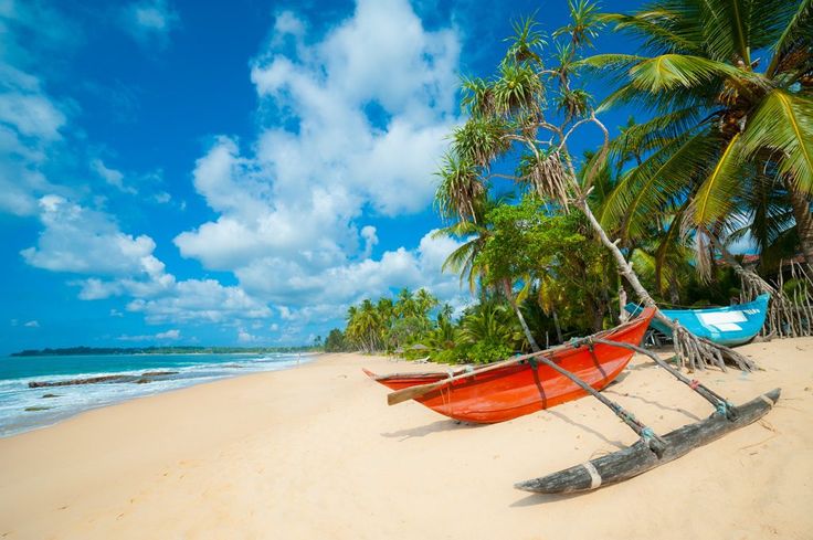 Image of Negombo Beach