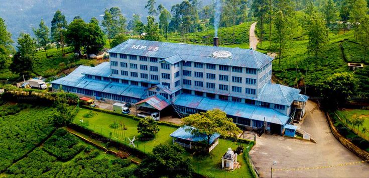 Image of Pedro Tea Factory