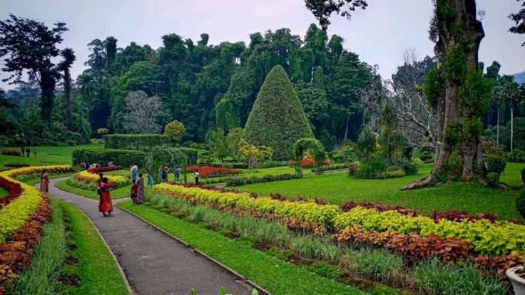 Image of Peradeniya Botanical Gardens