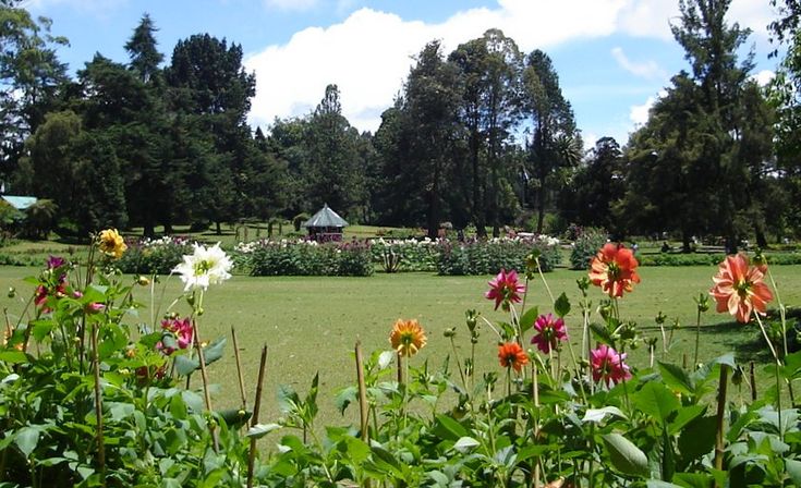 Image of Victoria Park, Nuwara Eliya