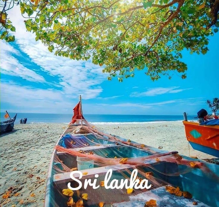 Coastal Dreams – Premium Beachside Escape